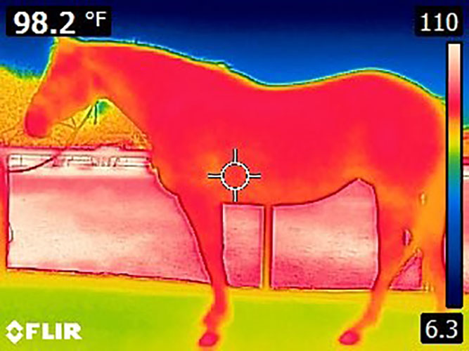Cooling Horse Rug - Image 5